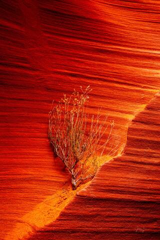 slot canyon, Antelope Canyon, light beams,