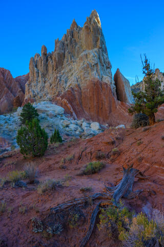 Cottonwood Candy Rock