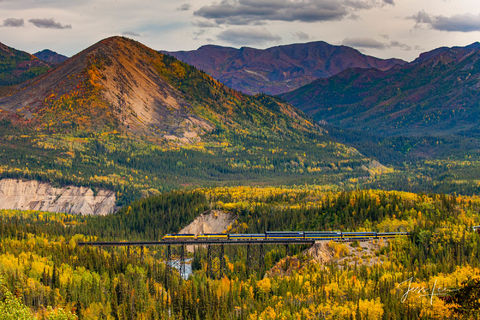 Train cars cross over the river flowing through a beautiful forest in Alaska. 
