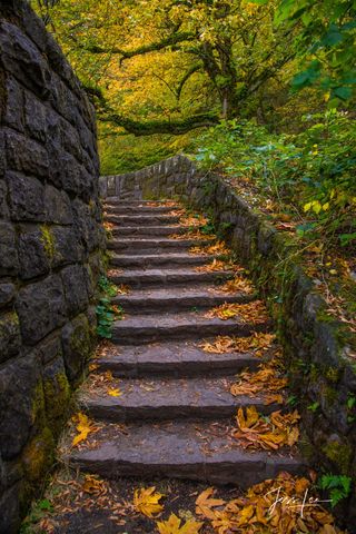 Autumn Path