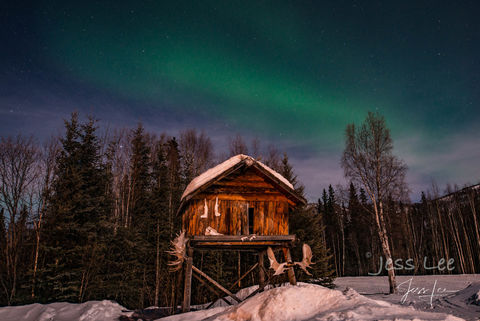 Trappers Cache Aurora