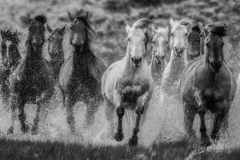 Coming home2_8868