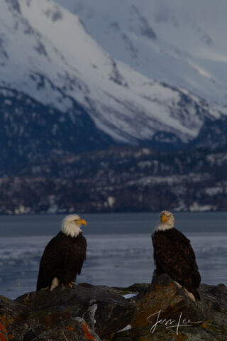 Togetherness 