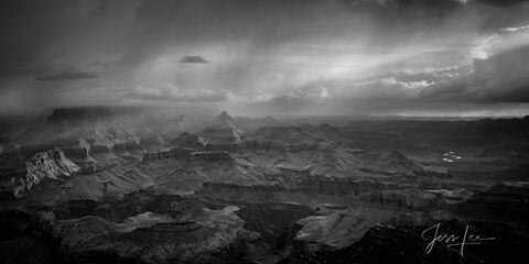 Summer Refreshment-Pano