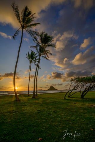 Hawaii Beach Sunset, a Fine Art Photography Print