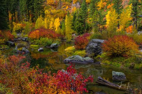 Fall Color Canyon