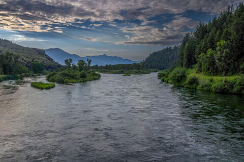 South Fork Morning at Swan Valley