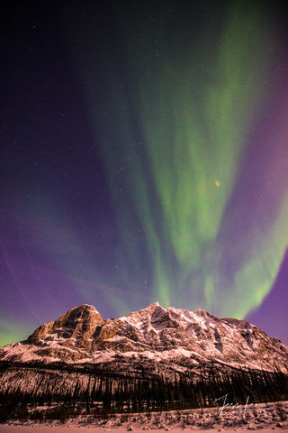 Moon Light Aurora