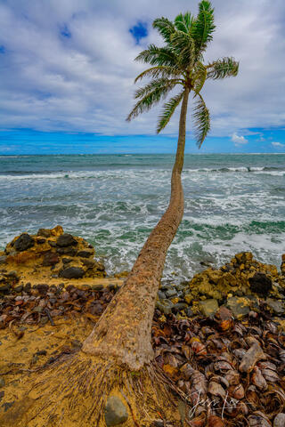 Reaching Out