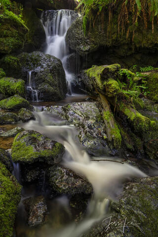 Trillium Falls 
