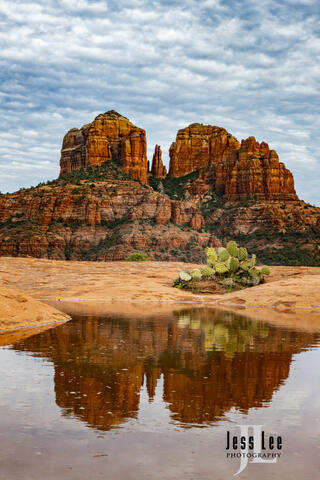 Fine Art Luxury Photography print of Cathedral Rock, reflecting in a small desert pond.