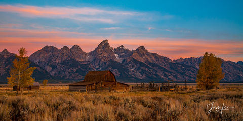 Mormon Row in the Alpine-glow 