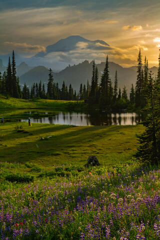 Tipso Lake Spring Sunset