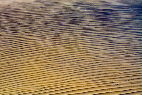 Wind Ripples