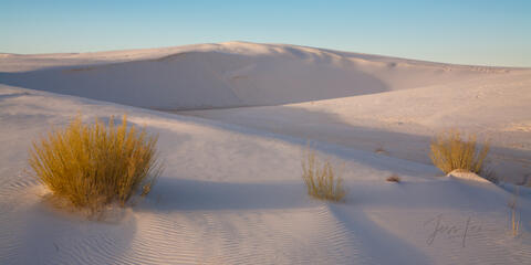 White Sands National Park Sand Dune Picture