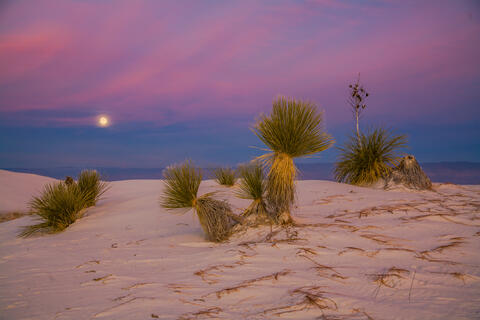 White Sands National Park Sand Dune Picture