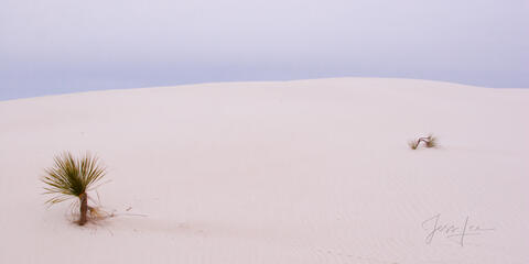 White Sands National Park Sand Dune Picture