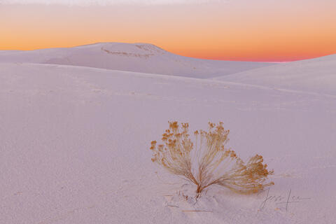 White Sands National Park Sand Dune