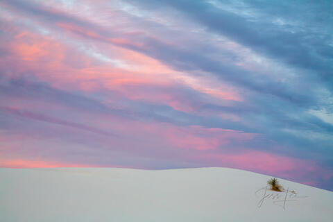 White Sands National Park Sand Dune