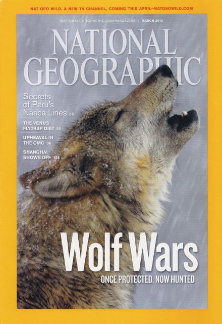 Jess Lee's National Geograph cover photo of a howling wolf