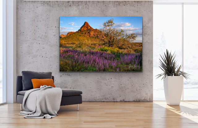 Arizona Photography Prints. Pictures available as an Acrylic, Metal, Canvas, or Fine Art Paper limited edition wall art prints.