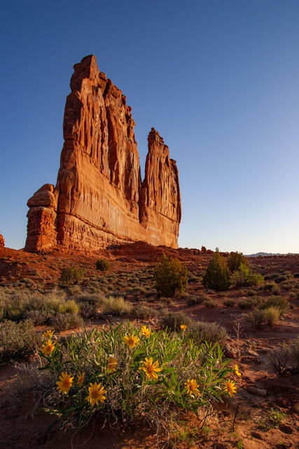Capitol Butte, Arches National Park in Spring