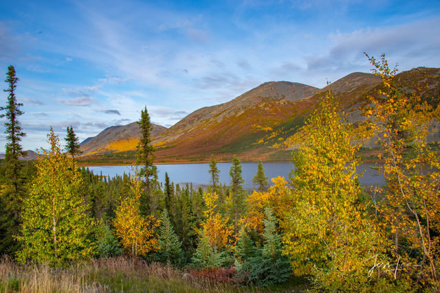 Morning on Alaska's arctic tundra. 