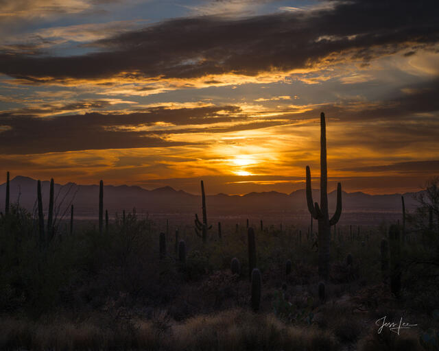 This is a large-format, Fine-Art Photography Print of the Arizona Desert is for sale in Trulife Acrylic, Chromalux Metal, and fine-art paper. 