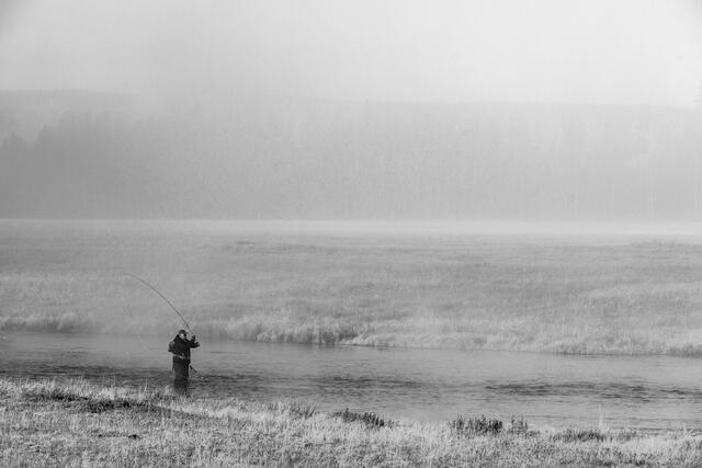 Black and white fly fisher with deeply bent rod on frost-covered Firehole River bank, Yellowstone, mist across meadow — fine art print by Jess Lee