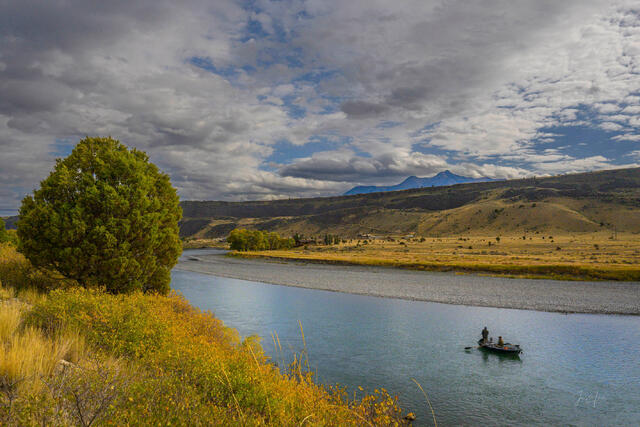 Drift boat on calm Yellowstone River, Paradise Valley Montana lone cottonwood left bank, Emigrant Peak beyond under breaking storm clouds — fine art by Jess Lee