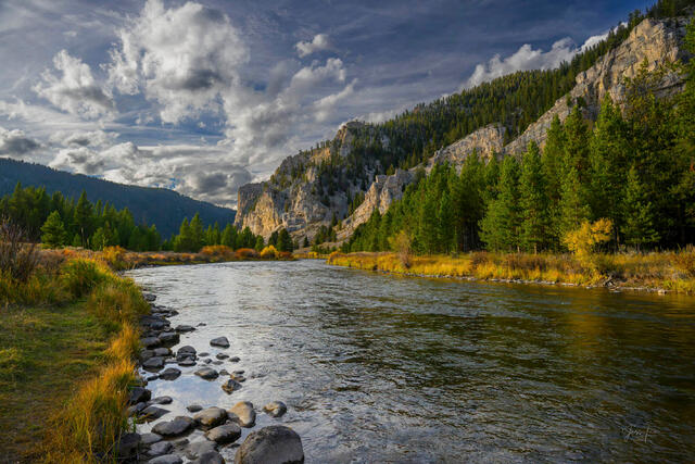 Gallatin River flowing broad and swift past sunlit limestone cliffs, autumn willows, dramatic storm clouds building, Montana — fine art print by Jess Lee