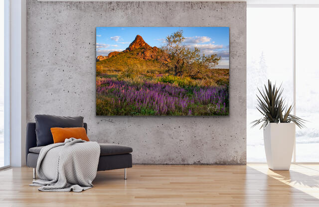 Desert Bloom