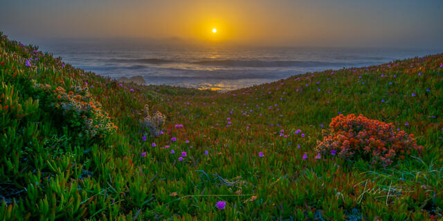 California Coastline Photography, Sunset Beach Photos