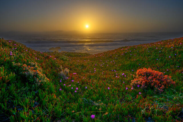 California Coast Sunset Photos, Big Sur Photography