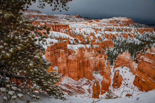 Fresh sheet of snow covering Bryce Canyon in Utah