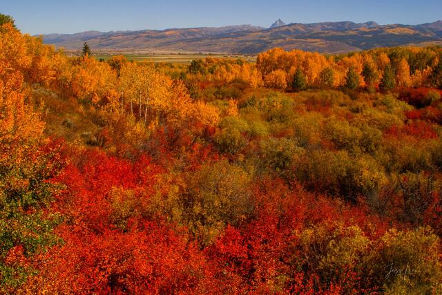 Teton Basin Autumn