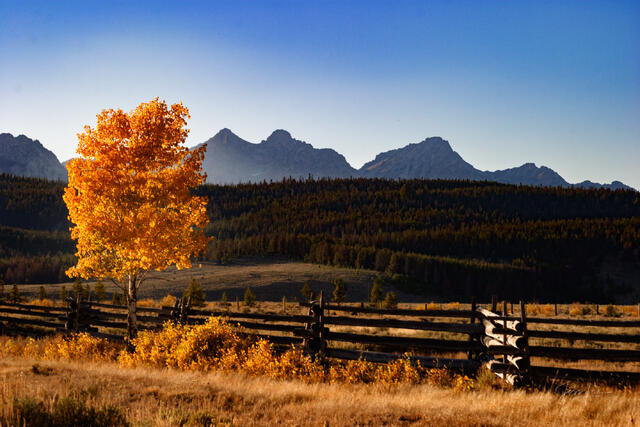 Sawtooth Range Autumn Shadow