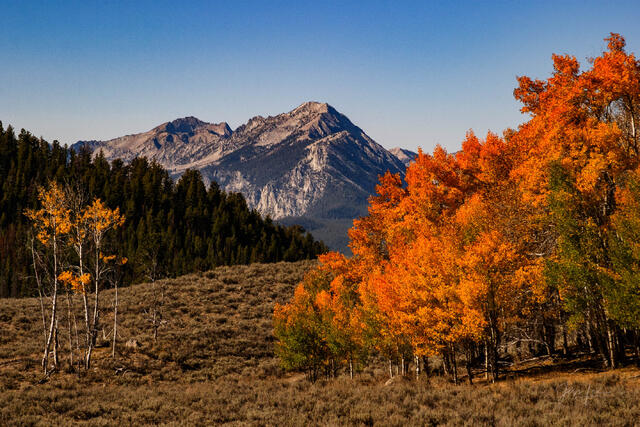 Showing off Fall