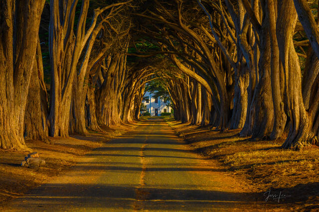 Point Reyes California Photos, Beautiful California Photography