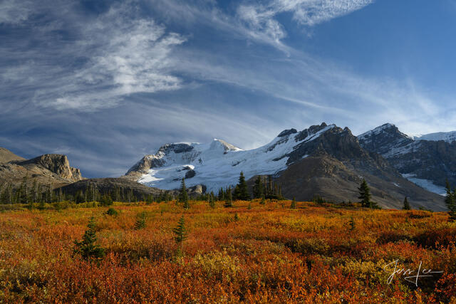 Beautiful picture of Glacier View in the Canadian Rockies for sale as a fine art photography print.