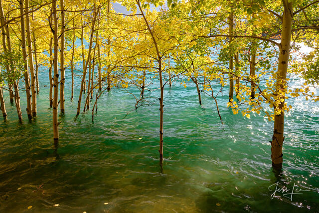 Beautiful picture of    in the Canadian Rockies for sale as a fine art photography  print.