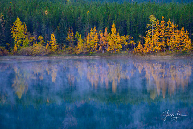 Beautiful picture of    in the Canadian Rockies for sale as a fine art photography  print.