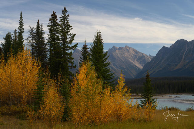 A beautiful picture of a fall morning in Jasper, Canadian Rockies, is for sale as a fine art photography print.