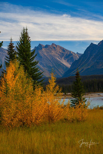 Beautiful picture of Fall Morning Vertical in the Canadian Rockies for sale as a fine art photography print.