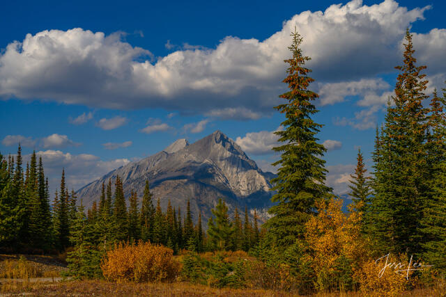 Beautiful picture of    in the Canadian Rockies for sale as a fine art photography  print.