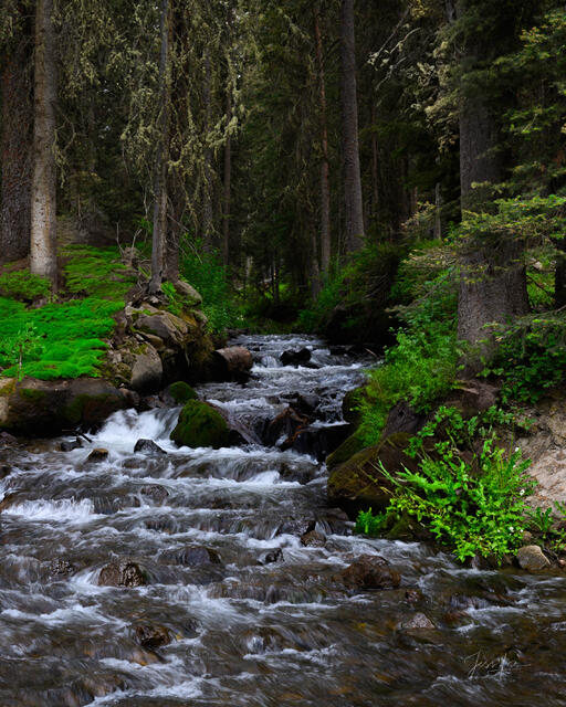 Colorado, photography, print,  photo, mountain, stream,
