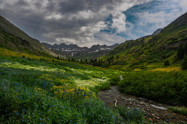 Fine Art Vail Landscape Photography | Fine Art Photography by Jess Lee