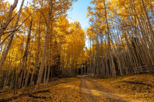 Beautiful Fine Art, Colorado, Photography Print.  High Quality Wall ArtColorado, photo, print,