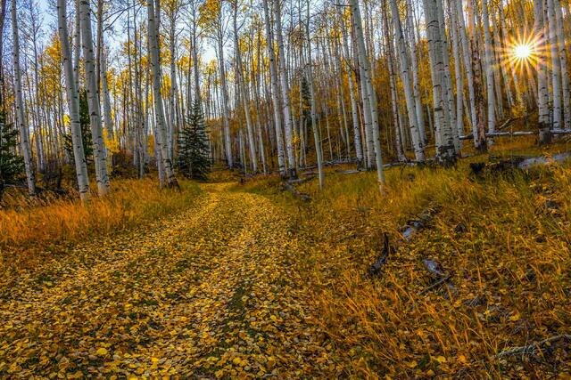 Beautiful Fine Art ,Colorado Photography Print.  High Quality Wall Art.Colorado, photo, print,