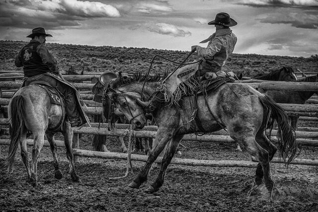 Western Photography, Horse Photography, Cowboy Photography, Black and White Photos